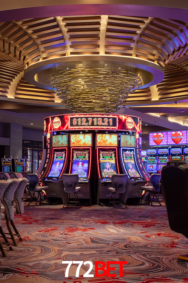 Experiência VIP 772bet