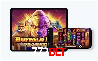 Estatísticas Esportivas 772bet